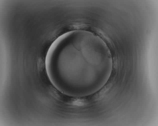 X0000113910471200910221337