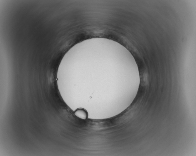 X0000113910472200910221337