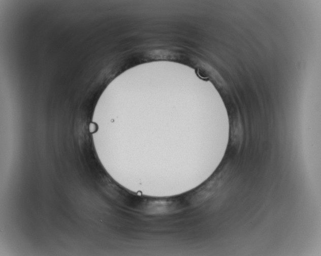 X0000113910473200910221337