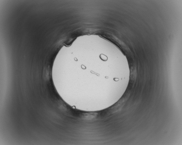 X0000113910474200910221337
