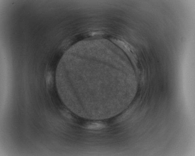 X0000113910475200910221337