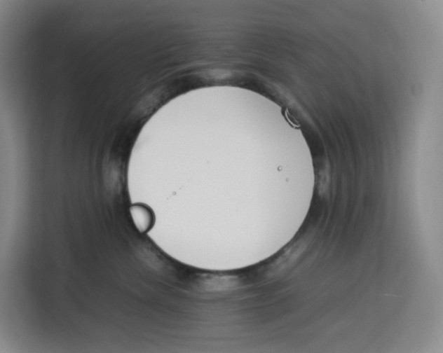 X0000113910476200910221337