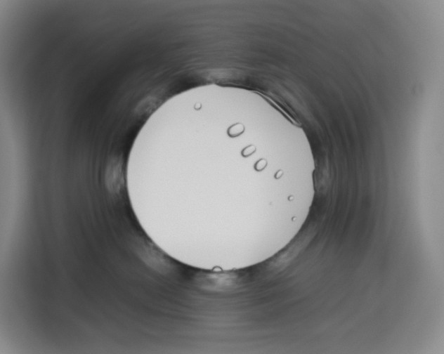 X0000113910478200910221337