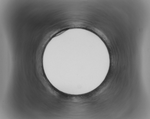 X0000113910481200910221336