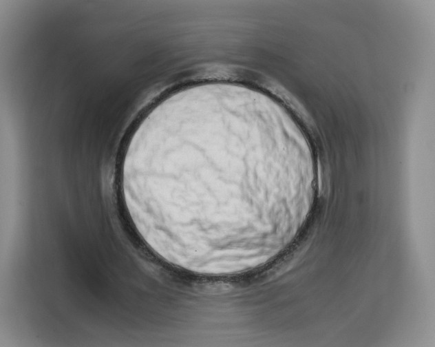 X0000113910483200910221336
