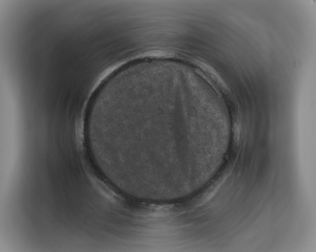X0000113910484200910221336