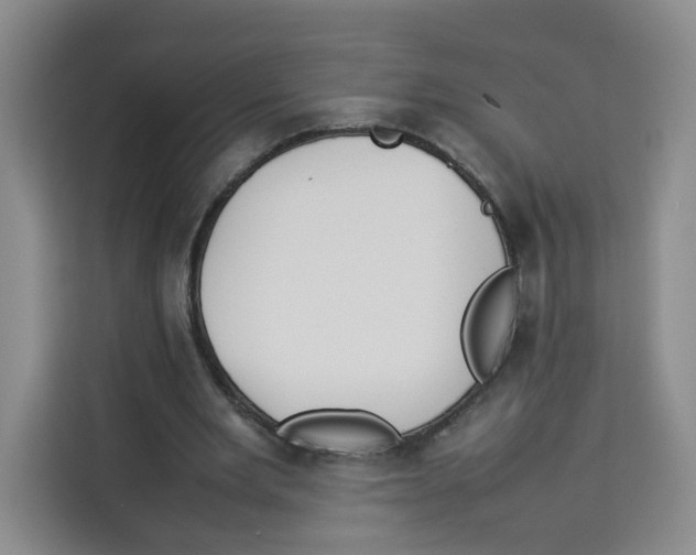 X0000113910485200910221336