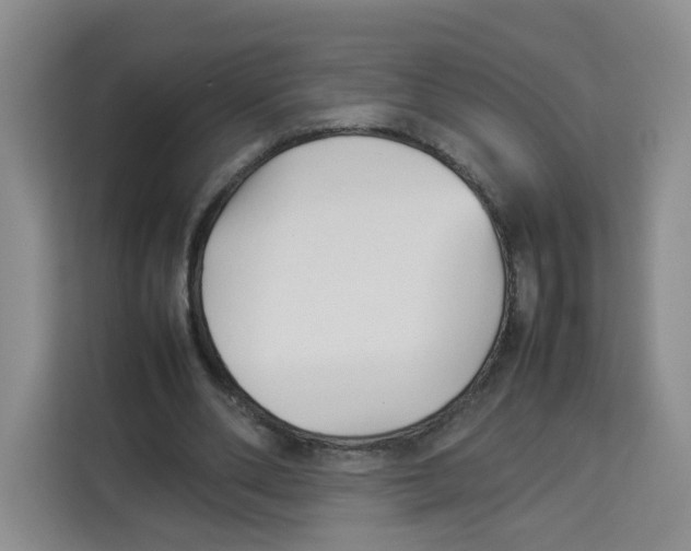 X0000113910486200910221336