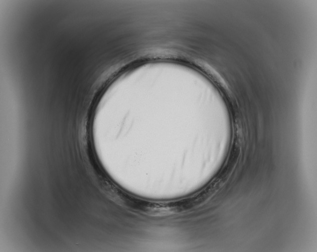 X0000113910487200910221336