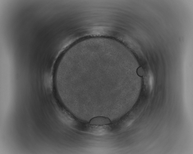 X0000113910488200910221336