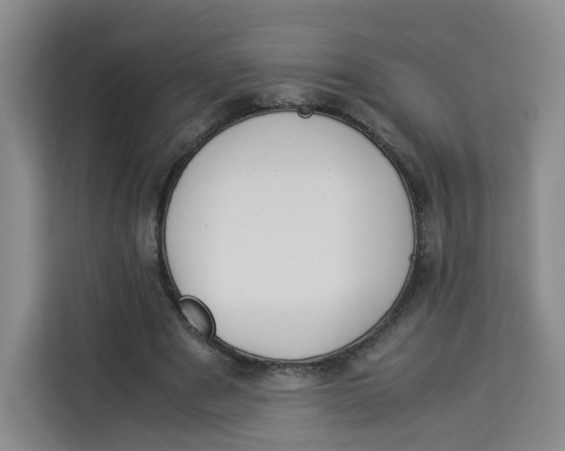 X0000113910489200910221336