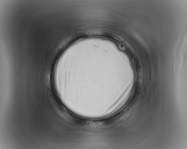 X0000113910491200910221336