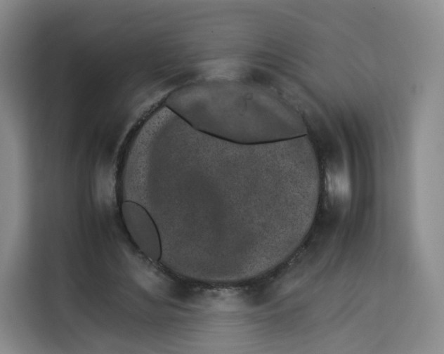 X0000113910492200910221336