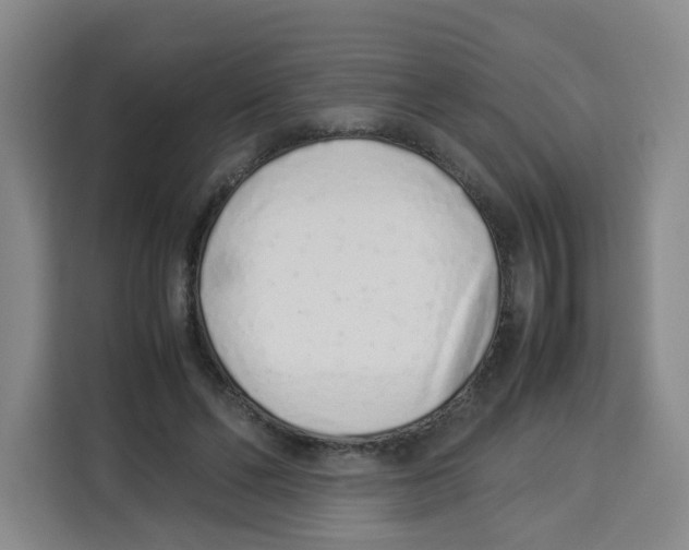 X0000113910494200910221336