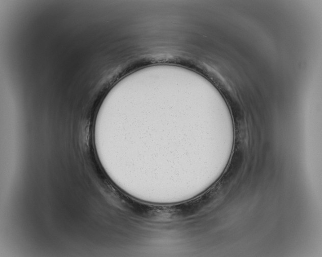 X0000113910495200910221336
