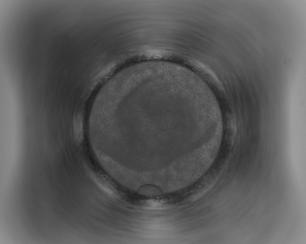 X0000113910496200910221336