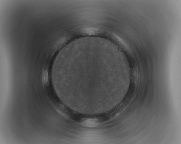 X0000113910500200910221336