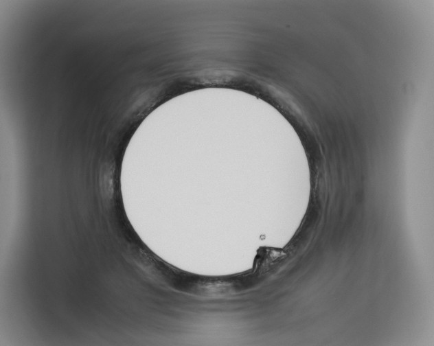 X0000113910501200910221336