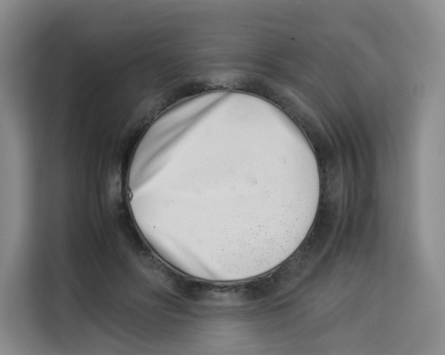 X0000113910502200910221336