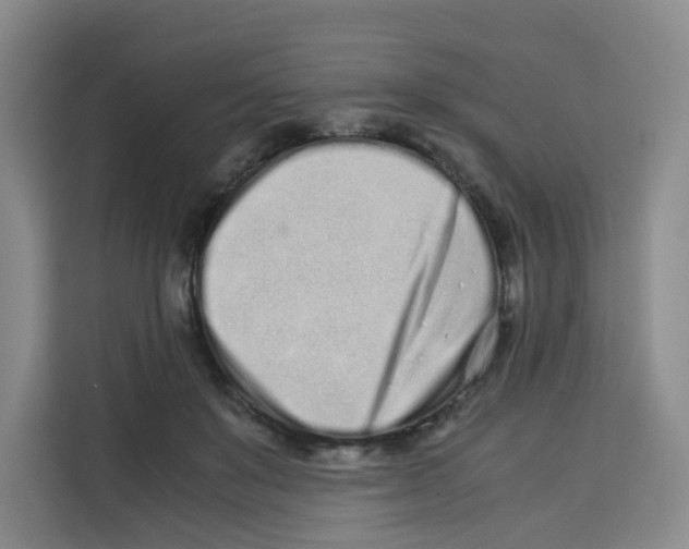 X0000113910503200910221336