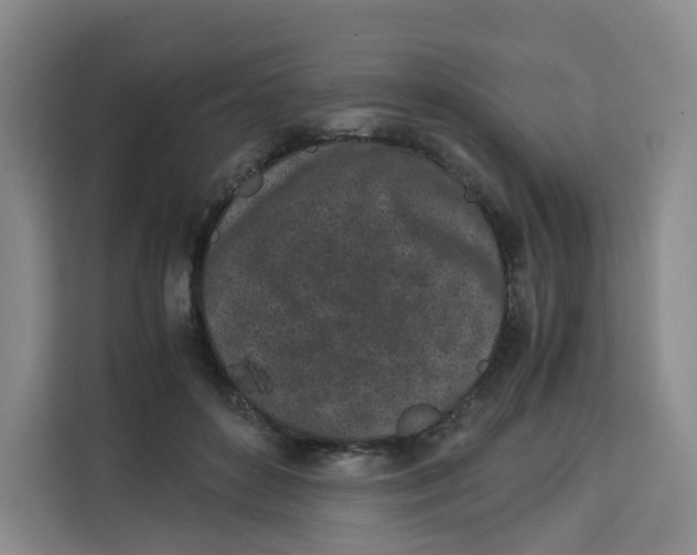 X0000113910504200910221336
