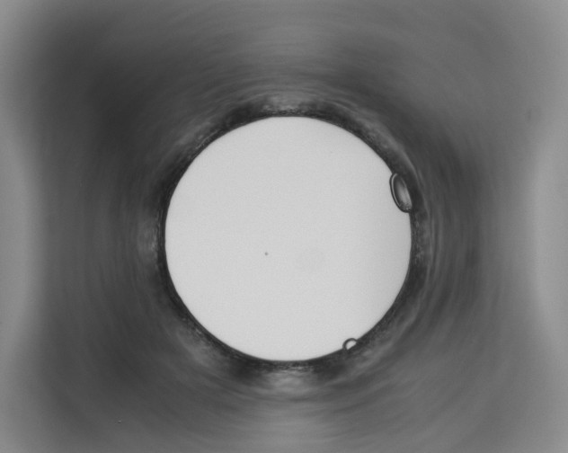 X0000113910505200910221336