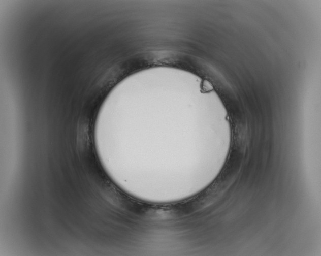 X0000113910506200910221336
