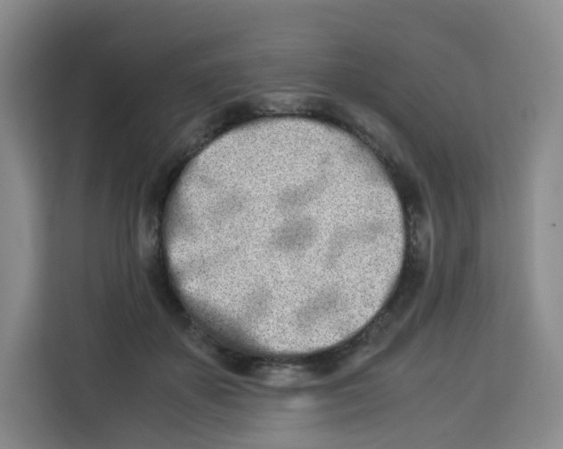 X0000113910507200910221336