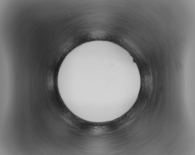 X0000113910508200910221336