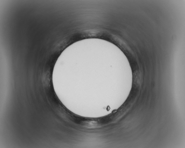X0000113910509200910221336