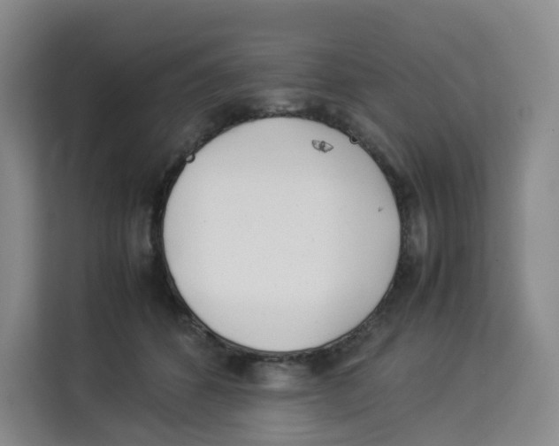 X0000113910512200910221336