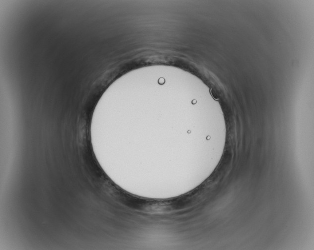 X0000113910513200910221336