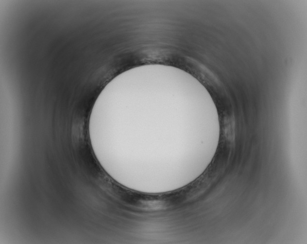 X0000113910514200910221336