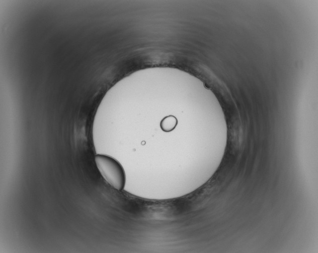 X0000113910516200910221336