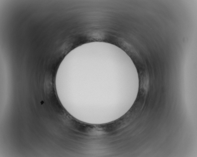 X0000113910518200910221336