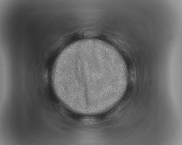 X0000113910519200910221336