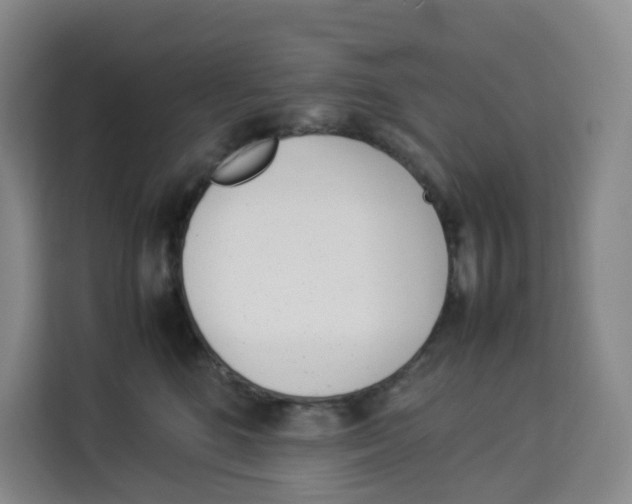 X0000113910520200910221336