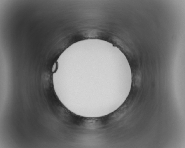 X0000113910521200910221336