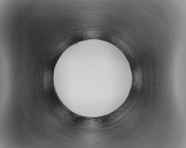 X0000113910522200910221336