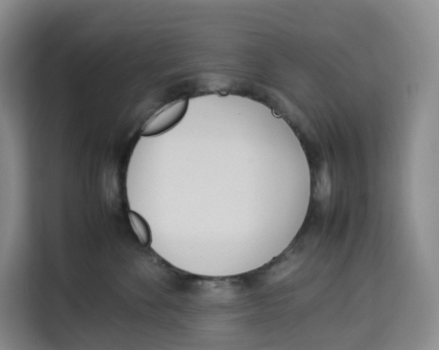 X0000113910524200910221336