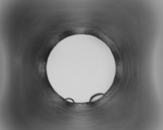 X0000113910525200910221336