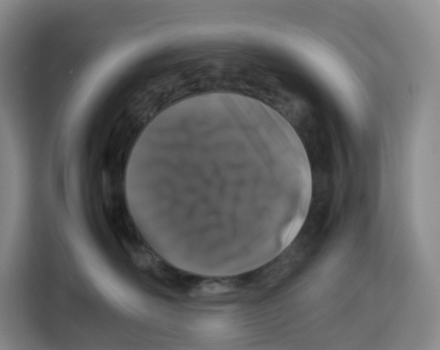 X0000113910526200910221336