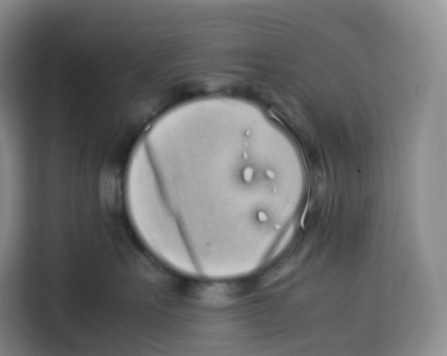 X0000113910527200910221336
