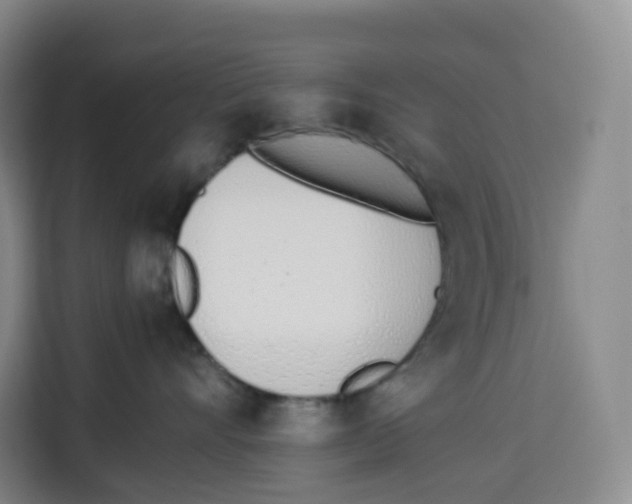X0000113910528200910221336
