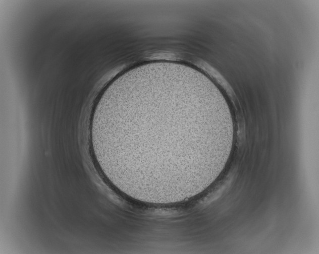 X0000113910529200910221335