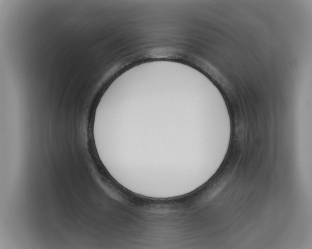 X0000113910530200910221335