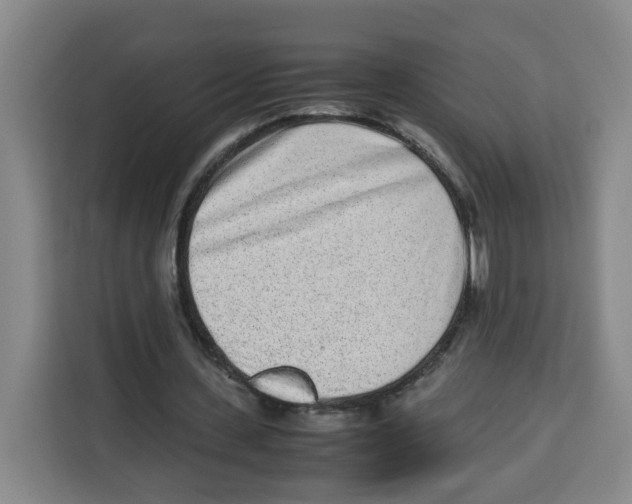 X0000113910531200910221335