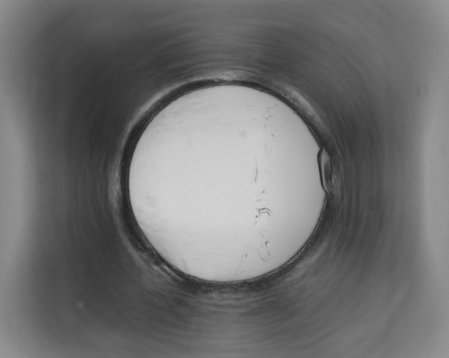 X0000113910532200910221335