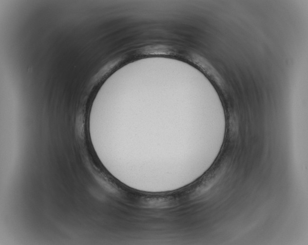 X0000113910533200910221335