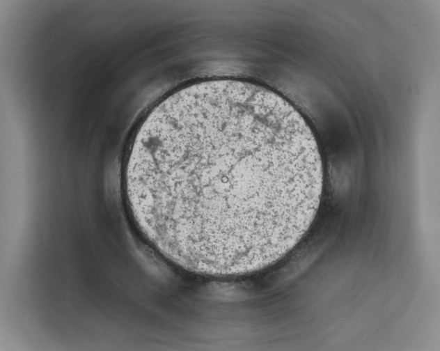 X0000113910534200910221335
